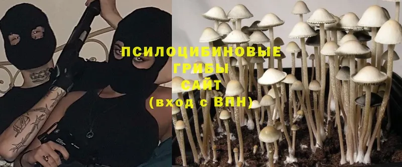 Галлюциногенные грибы Magic Shrooms  Отрадная 